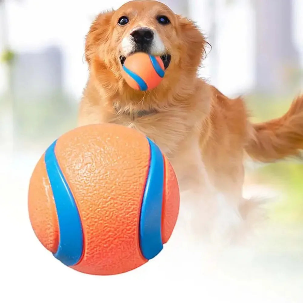 Chew & Fetch Ball